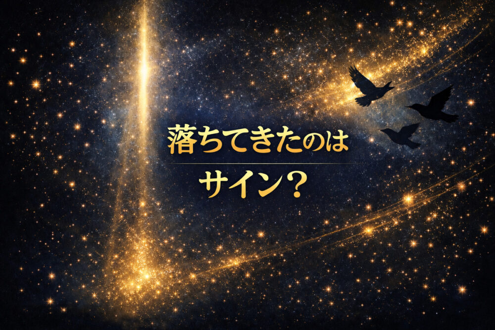 落ちてきたのは幸運のサイン？